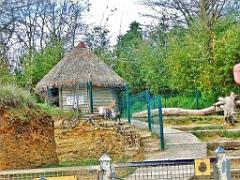 149 BIO PARC DE DOUE LA FONTAINE 7- 2016_000034